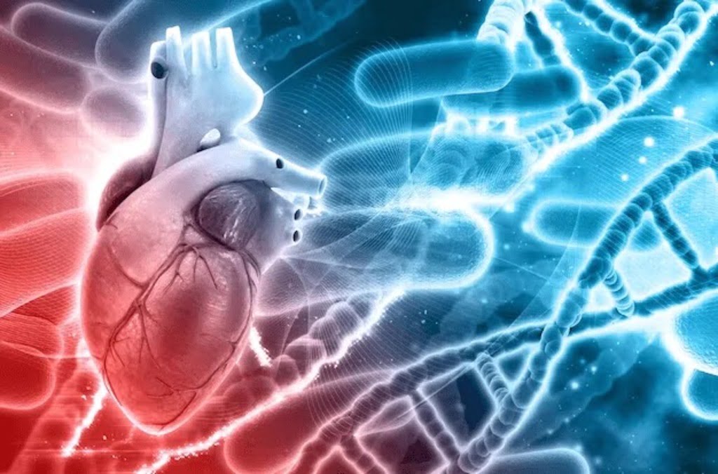 role of genetics in heart disease