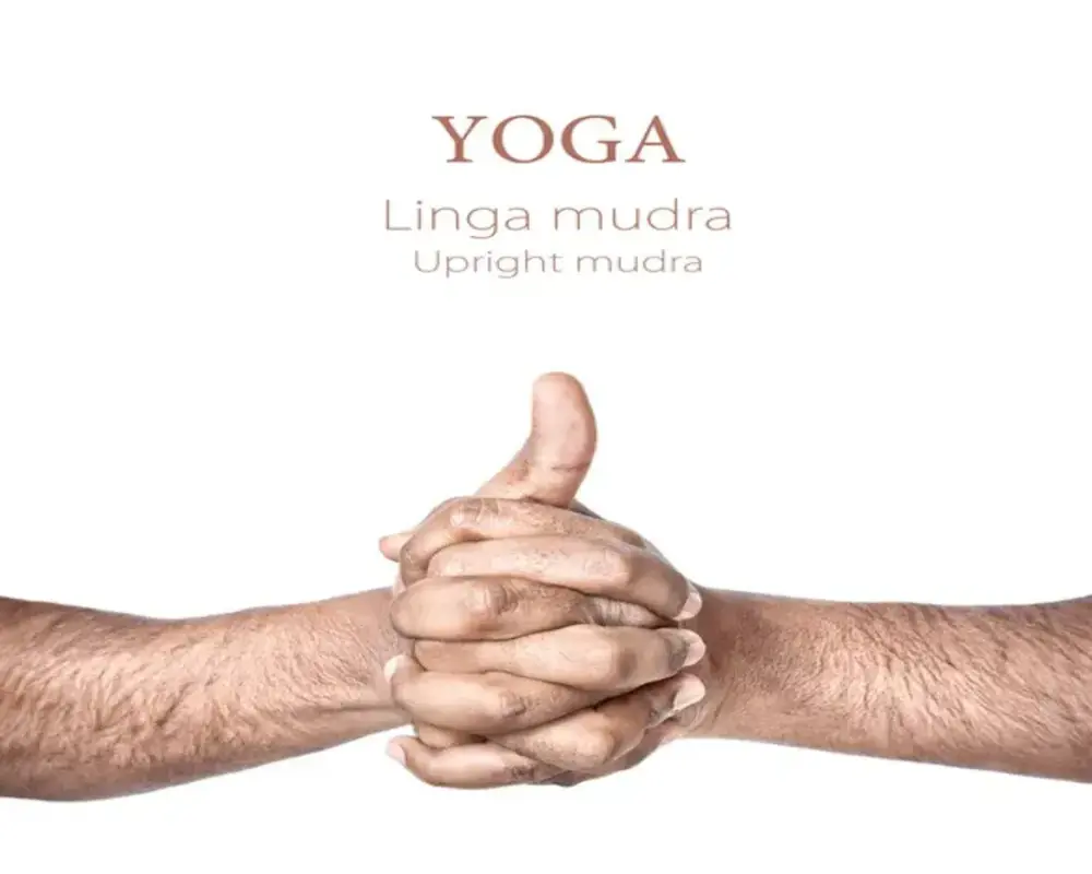 linga mudra