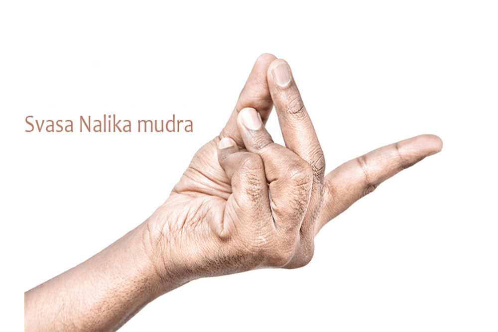 bronchial mudra